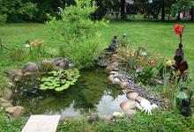 Serene garden with a small pond and flowering plants