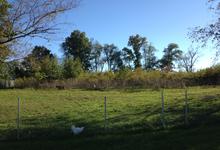 Pastoral landscape with green fields and fence posts